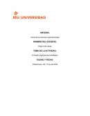 El diseño arganizacional estrategico