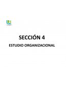 ESTUDIO ORGANIZACIONAL