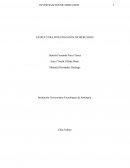 ESTRUCTURA INVESTIGACIÓN DE MERCADOS