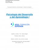 Psicología del Desarrollo y del Aprendizaje