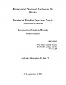 Comentarios de los articulos de la CPDEUM 6-10