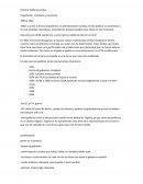 Practica Política turística