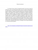 Cadena de suminnstros