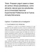 Preparar yogurt casero a base de cambur (Musa paradisiaca)