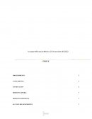 Diagnostico Organizacional