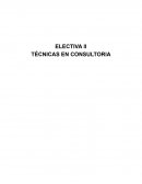 Tecnicas de consultoria