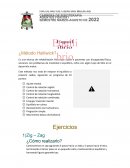Técnica de rehabilitación física