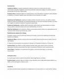 Manifestaciones plásticas de las primeras civilizaciones indígenas