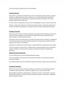 Extructura de plan de trabajo Estudio de Mercado