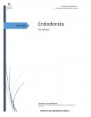 CFT Dirección de Desarrollo Curricular