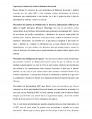 Tipos de proveedores de Software Balanced Scorecard