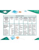 Plan de Acción Solidaria