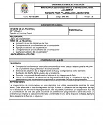 FORMATO PARA PRÁCTICAS DE LABORATORIO. Página 1