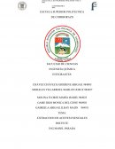 Informe de laboratorio, extracción de aceite de aucalipto