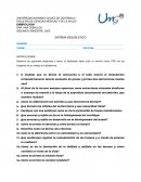 Hoja de trabajo: Sistema esquelético