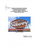 Analisis de la empresa SAVOY