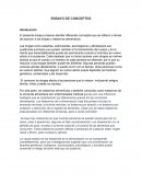 ENSAYO DE CONCEPTOS