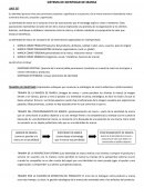 SISTEMA DE IDENTIDAD DE MARCA ¿QUÉ ES?