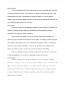 Obtención del bromuro-butilo