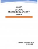 SITEMAS MICROINFORMATICOS Y REDES