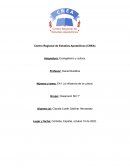 La influencia de la cultura y La Sociedad