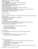 Empresa económica , Producir bienes o servicios qué generen valor agregado