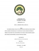 LA OBSESION POR LA BELLEZA