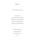 Modelo canvas . Administración Financiera. Plan de Negocios