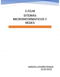 SITEMAS MICROINFORMATICOS Y REDES. Página 1