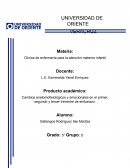 Cambios anatomofisiológicos y emocionales en el primer, segundo y tercer trimestre de embarazo