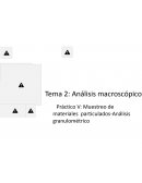 Análisis macroscópico