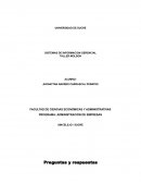 SISTEMAS DE INFORMACION GERENCIAL TALLER MOLSON