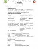 MEJORAMIENTO DEL SERVICIO DE ESPACIOS PÚBLICOS URBANOS EN LAS ZONAS PERIFÉRICAS DEL DISTRITO DE JULIACA