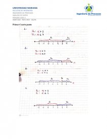 INGENIERÍA DE PROCESOS ANALISIS DE DATOS. Página 1