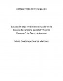 Causas de bajo rendimiento escolar en la Escuela Secundaria General “Vicente Guerrero” de Taxco de Alarcon