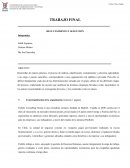 Trabajo reclutamiento y seleccion