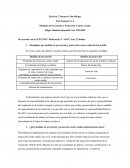 Medidas de Prevención y Protección Contra Caídas