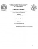 Practica del cuidado del niño y del adolescente . Proceso de atención en enfermería