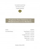 Neoplásias Óseas Sistémicas con Manifestaciones en los Maxilares