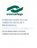 COMUNICACIÓN EN LOS AMBITOS ESCOLAR Y PROFESIONAL