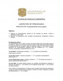 LABORATORIO DE TERMODINAMICA PRACTICA Nº5 “Comportamiento de los gases”