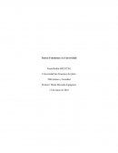 Teorías Feministas y la Universidad