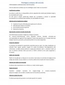 Patologías comunes del corazón