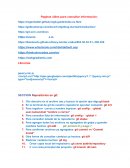 El manual de word (ignoren)