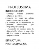 Proteosoma