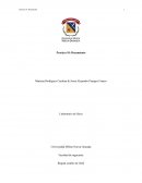 Practica 10: Rozamiento