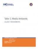 Calidad y medioambiente empresa “Neumoc”