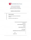 INFORME FINAL DE PRACTICAS PRE PROFESIONALES TERMINAL II REALIZADO EN LA (GALESS EXPRESS S.A.C)