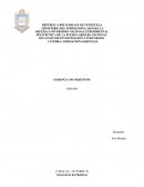 Gerencia por Objetivos