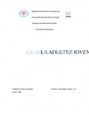 Adultez joven